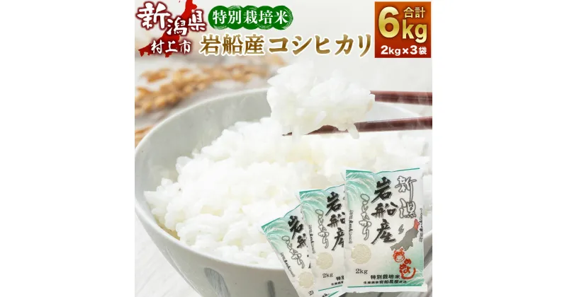 【ふるさと納税】【令和6年産米】 特別栽培米 新潟県 岩船産 コシヒカリ 合計 6kg 2kg×3袋 お米 精米 白米 ご飯 ごはん 村上市 A4102