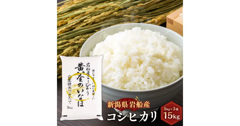 【ふるさと納税】【令和6年産米】自然豊かな風土が育んだ 新潟県 岩船産 コシヒカリ合計 15kg 5kg×3袋 米 精米 白米 ご飯 ごはん 新潟県 村上市 C4023