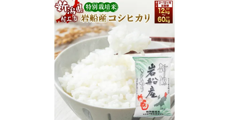 【ふるさと納税】【令和6年産米】【定期便】【お届け回数が選べる】 特別栽培米 新潟県 岩船米 コシヒカリ 2回～12回 合計 12kg～60kg お米 精米 白米 ご飯 ごはん 村上市 D4036 E4027