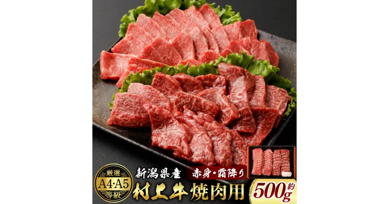 【ふるさと納税】A4・A5等級 村上牛 焼肉用 約500g×1パック 約2～3人前 赤身と霜降りミックス 厚めカット 生産者直送 にいがた和牛 冷凍 国産 新潟県 村上市 santaふぁーむ [B4001]