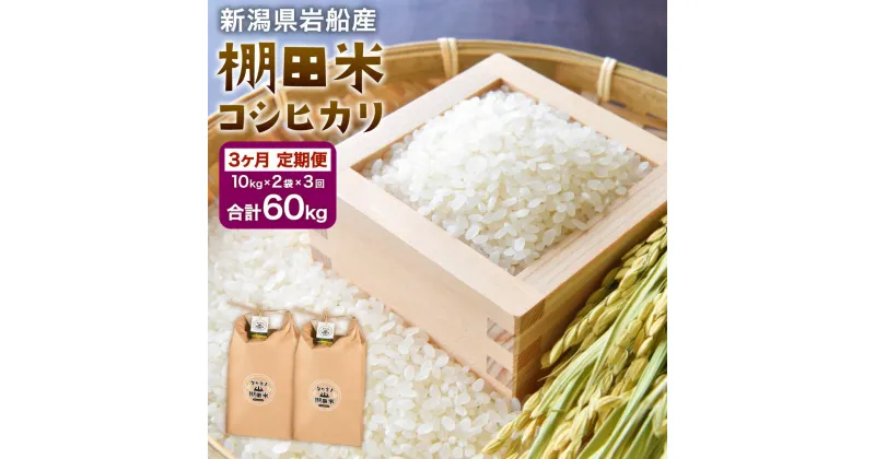 【ふるさと納税】E4012 【令和6年産米】新潟県岩船産 棚田米コシヒカリ20kg×3ヶ月お届け