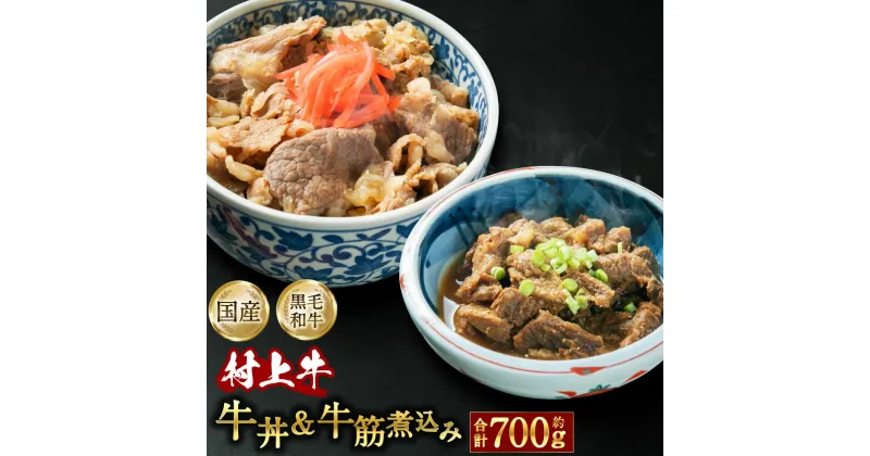 【ふるさと納税】村上牛 牛丼 ・ 牛筋煮込みセット 合計約700g 肉 牛肉 和牛 牛丼 牛すじ 米糀 味噌 煮込み 惣菜 加工品 人気 高級 贅沢 お取り寄せ 冷凍 国産 新潟県 村上市 送料無料 A4141