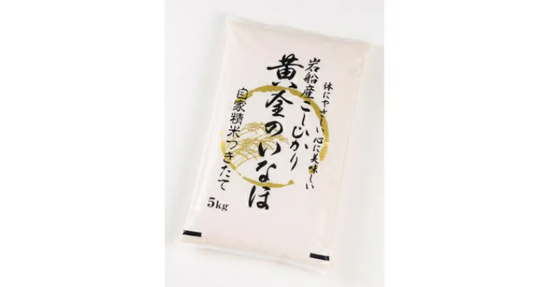 【ふるさと納税】 【令和6年産米】自然豊かな風土が育んだ 新潟県 岩船産コシヒカリ 50kg 定期便 5kg×10回 米 精米 白米 ご飯 ごはん 村上市 1017001