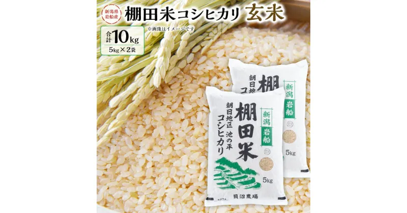 【ふるさと納税】【令和6年産米】新潟県岩船産　棚田米コシヒカリ玄米10kg AB4041