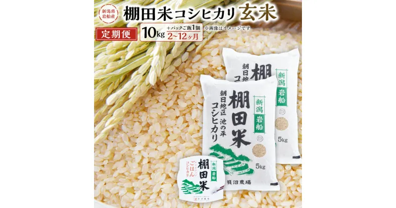 【ふるさと納税】【令和6年産米】【定期便】【お届け回数が選べる】 新潟県 岩船産 棚田米 コシヒカリ 玄米10kg ＋ 棚田米コシヒカリのパックごはん (150g×1個) 2～12回 | 毎月 お米 ご飯 こしひかり 村上市 C4083