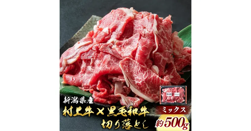 【ふるさと納税】村上牛 × 黒毛和牛 切り落とし ミックス 約500g 約2～3人前 生産者直送 にいがた和牛 冷凍 新潟県 国産 村上市 santaふぁーむ 赤身と程よい脂身のバランス1031002