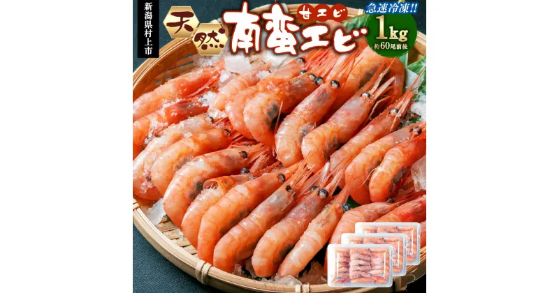 【ふるさと納税】【11月以降発送】南蛮エビ（甘エビ） 合計 1kg 約60尾前後 3パック 小分け 刺し身 刺身 味噌汁 あまえび 新潟県産 急速冷凍 新鮮！県北寝屋漁港直送！ 1043001