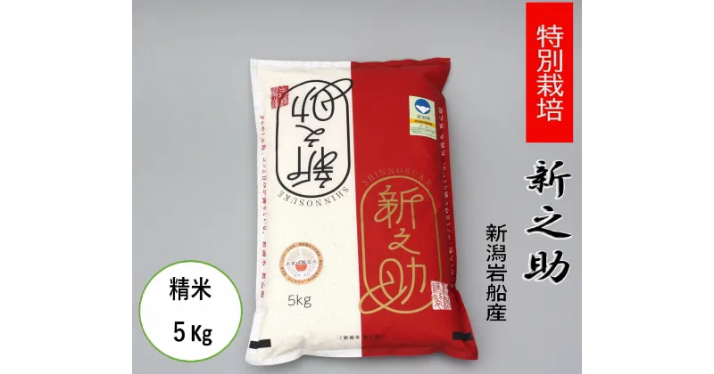 【ふるさと納税】【令和6年産米】食味鑑定士板垣謹製　新潟県 岩船産 特別栽培 新之助 5kg 1039009 ｜ 新耕農産 白米 一等米 プレミアム米 ツヤツヤ 農家直送 お米 低温倉庫保管