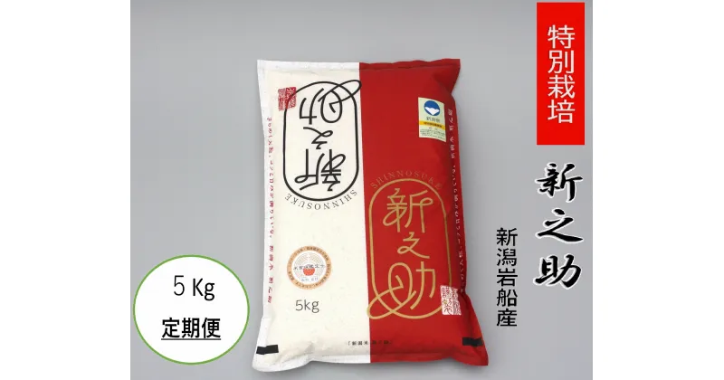 【ふるさと納税】【令和6年産米】【定期便】【お届け回数が選べる】食味鑑定士板垣謹製　新潟県 岩船産 特別栽培 新之助 5kg 2回　3回　6回　12回 ｜ 連続 毎月 お届け 新耕農産 白米 一等米 プレミアム米 ツヤツヤ 農家直送 お米 低温倉庫保管 1039010