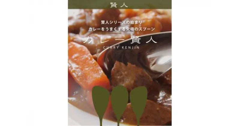 【ふるさと納税】カレー賢人「キャリ」&「サクー」4本セット【 カレースプーン セット カレー 送料無料 スプーン ステンレス 新潟県 燕市 燕三条 】