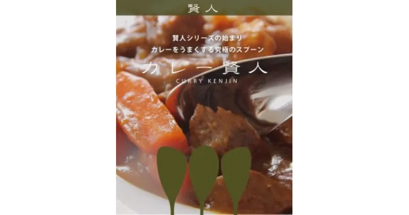 【ふるさと納税】カレー賢人「キャリ」&「サクー」、スープ賢人「R45」&「ES6」8本セット(カトラリー携帯ケース「mottecotto」4個付)【 カレー専用スプーン スープ専用スプーン ステンレス セット 新潟県 燕市 燕三条 】