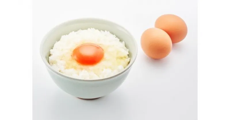 【ふるさと納税】美味しさたっぷり!!濃厚たまごの卵かけご飯セット【 卵かけご飯 醤油 セット ご飯 お米 コシヒカリ こしひかり たまご アスタキサンチン含有赤卵 新潟 燕三条 燕市 お取り寄せ グルメ 送料無料 】