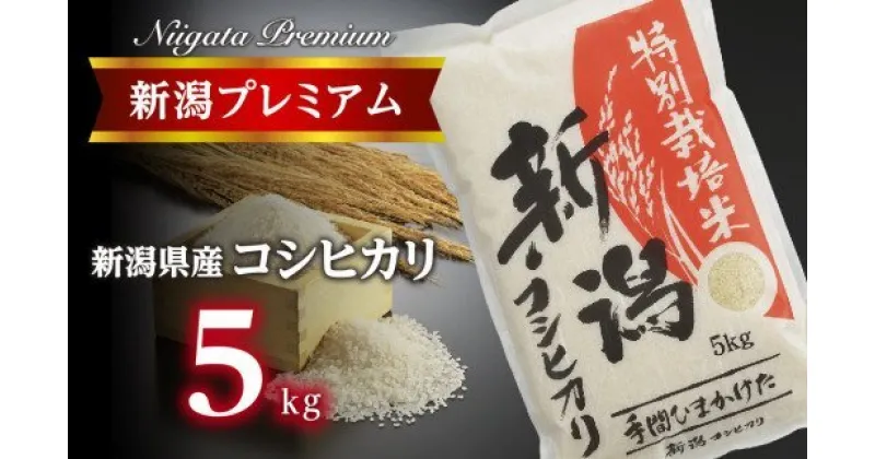 【ふるさと納税】【令和6年産】新潟プレミアム 特別栽培米 コシヒカリ 白米5kg【 こしひかり 米 コシヒカリ 白米 5kg 新潟 燕市 燕三条 送料無料 】