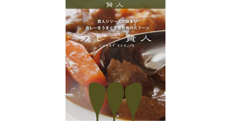 【ふるさと納税】カレー賢人「キャリ」(カトラリケース mottecotto付き)【 カレー専用スプーン 新潟県 燕市 燕三条 】