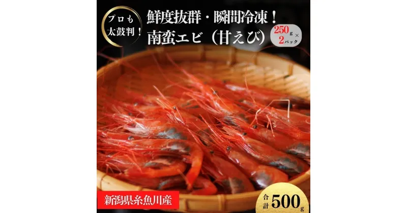 【ふるさと納税】甘エビ 250g×2パック 計500g 日本海直送 瞬間冷凍 プロも太鼓判！ 際立つ甘さと鮮やかさ 新潟県 糸魚川市 伝兵水産 えび 海老 南蛮エビ 【能登半島地震復興支援】【 海老 えび エビ アマエビ あまえび 殻付き 有頭 生食 刺身 魚介類 魚貝類 国産 人気】