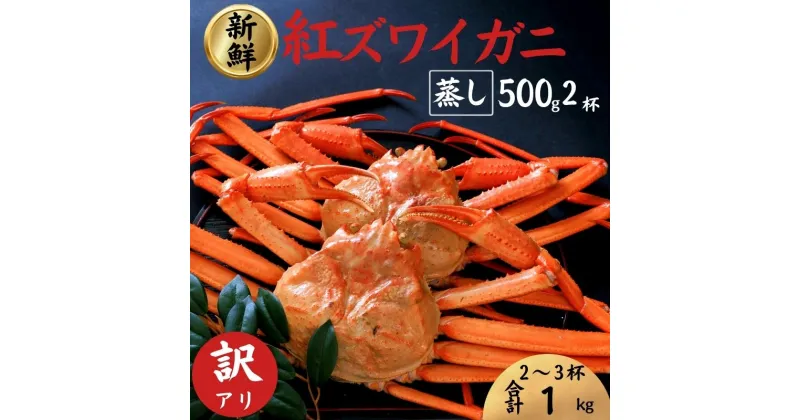 【ふるさと納税】【訳あり】紅ズワイガニ 500g前後×2匹 日本海直送 蒸し 新潟県 糸魚川産ベニズワイガニ 親不知 絶品！蒸しガニ2尾 かに カニ 蟹 株式会社親不知おさかなセンター 姿 海鮮 紅ずわいがに 脚 蟹爪 かに鍋 国産 お取り寄せグルメ 【能登半島地震復興支援】