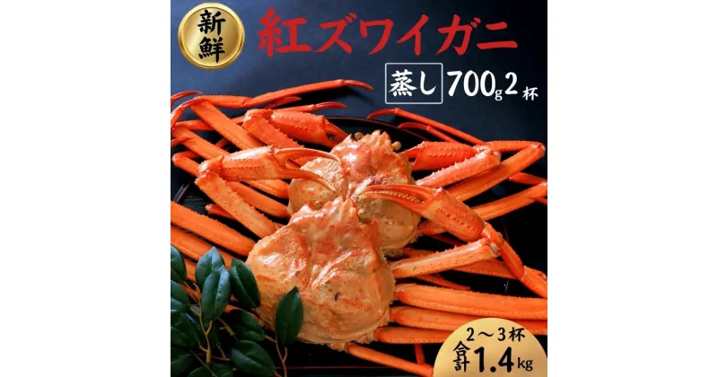 【ふるさと納税】紅ズワイガニ 700g前後×2匹 日本海直送 蒸し 新潟県 糸魚川産ベニズワイガニ 親不知 絶品！蒸しガニ2尾 かに カニ 蟹 株式会社親不知おさかなセンター ずわいがに 姿 海鮮 紅ずわい 脚 蟹爪 かに鍋 国産 お取り寄せグルメ 【能登半島地震復興支援】