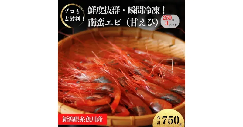 【ふるさと納税】甘エビ 250g×3パック 計750g 日本海直送 瞬間冷凍 プロも太鼓判！ 際立つ甘さと鮮やかさ 新潟県 糸魚川市 伝兵水産 えび 海老 南蛮エビ 【能登半島地震復興支援】【 海老 えび エビ アマエビ あまえび 殻付き 有頭 生食 刺身 魚介類 魚貝類 国産 人気】