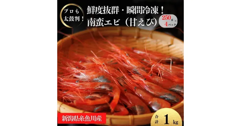 【ふるさと納税】甘エビ 250g×4パック 計1kg 日本海直送 瞬間冷凍 プロも太鼓判！ 際立つ甘さと鮮やかさ 新潟県 糸魚川市 伝兵水産 えび 海老 南蛮エビ 【能登半島地震復興支援】【 海老 えび エビ アマエビ あまえび 殻付き 有頭 生食 刺身 魚介類 魚貝類 国産 人気】