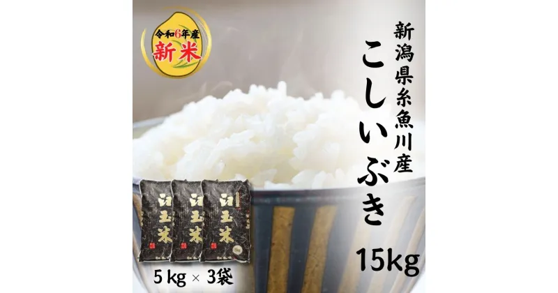 【ふるさと納税】米 新米【令和6年産 新米】新潟県産こしいぶき15kg (5kg×3袋) 糸魚川産こしいぶき『臼玉米』プロが認めたうまい米 新潟米 コシヒカリの甘みを兼ね備えた早生品種 お手頃価格 精米 おにぎり 弁当 白米15kg お弁当 おすすめ 人気 2024年 木島米穀店