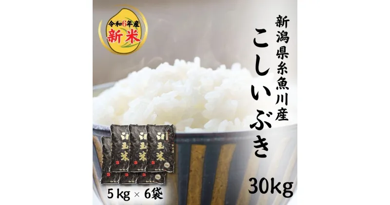 【ふるさと納税】米 新米【令和6年産 新米】新潟県 糸魚川産 こしいぶき『臼玉米』30kg (5kg×6袋) プロが認めたうまい米 新潟米 農家自慢 コシヒカリの甘みを兼ね備えた早生品種 お手頃価格 精米 おにぎり 弁当 コシイブキ 白米30kg お弁当 おすすめ 人気 2024年 木島米穀店