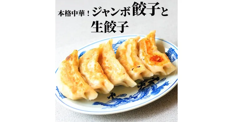 【ふるさと納税】餃子ジャンボ水餃子セット 本格中華をご家庭で お店で人気のジャンボ餃子 糸魚川月徳飯店 新潟県 家族団らん 急速冷凍 すぐ食べられる 自家製の皮 セットでお届け ボリュームたっぷり ひと味違う 看板メニューをお届け