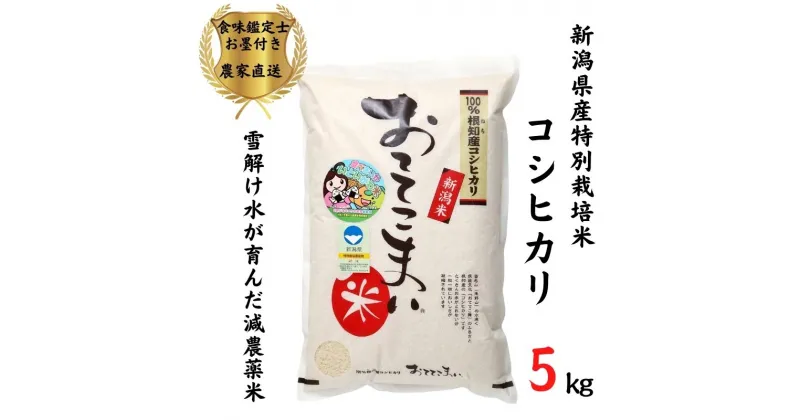 【ふるさと納税】米 新米 コシヒカリ【令和6年産 新米】 5kg×1袋 新潟県産 特別栽培米 「おててこまい」100%根知産 減農薬 専門家お墨付き 令和6年産 産地直送 糸魚川 新潟県産コシヒカリ5kg 小田島建設 美味しい 農家自慢 お米 白米 おにぎり お弁当