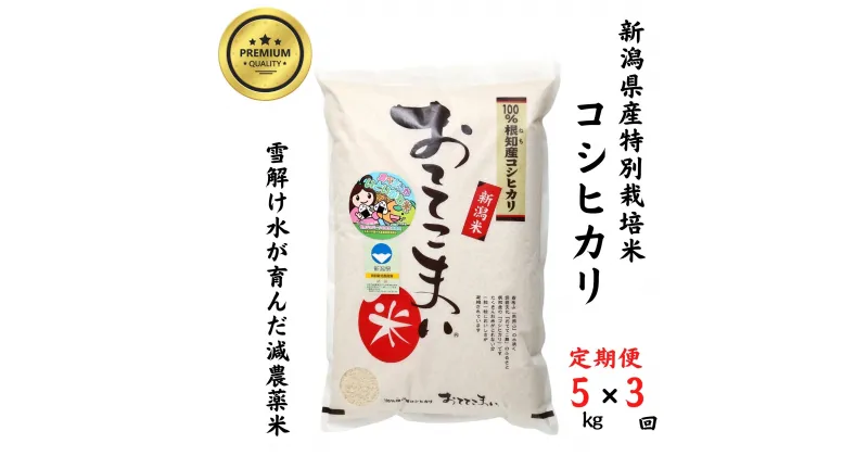 【ふるさと納税】 米 新米 コシヒカリ【令和6年産 新米】【定期便】5kg(1袋)×3回毎月 計15kg 新潟県産 特別栽培米「おててこまい」100%根知産 専門家お墨付き 令和6年産 産地直送 糸魚川 新潟県産コシヒカリ5kg 小田島建設 美味しい 農家自慢 お米 おにぎり お弁当