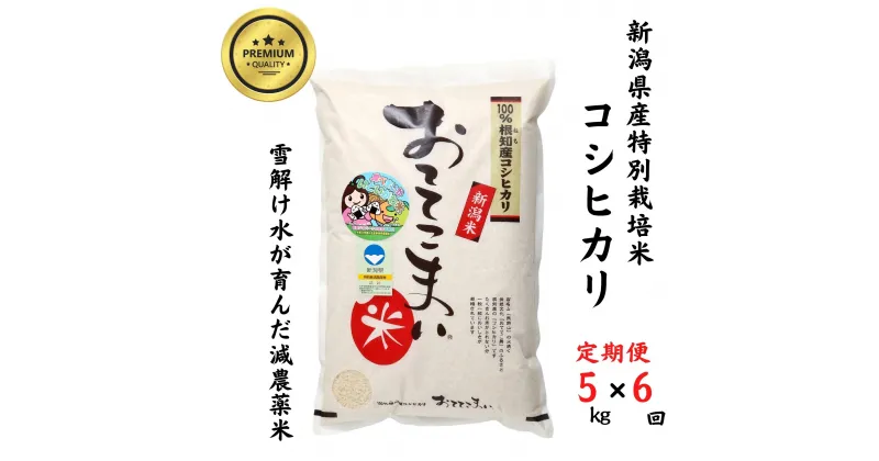 【ふるさと納税】米 新米 コシヒカリ【令和6年産 新米】【定期便】5kg(1袋)×6回毎月 計30kg 新潟県産 特別栽培米 「おててこまい」100%根知産 専門家お墨付き 令和6年産 産地直送 糸魚川 新潟県産コシヒカリ5kg 小田島建設 美味しい 農家自慢 お米 おにぎり お弁当