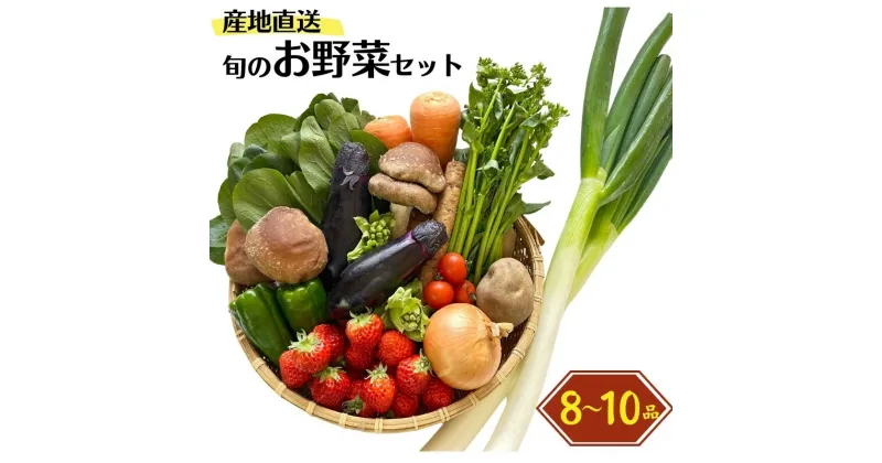 【ふるさと納税】旬の野菜セットを直売所からお届け! (8～10品詰め合わせ) 大根・白菜・春菊・アスパラ菜・しいたけ・ほうれん草・ふきのとう・タラの芽・山菜・にんじん・イチゴ・トマト・きゅうり・ピーマン・ジャガイモ・玉ねぎ・枝豆・生きくらげ・長ネギ・里芋 JA