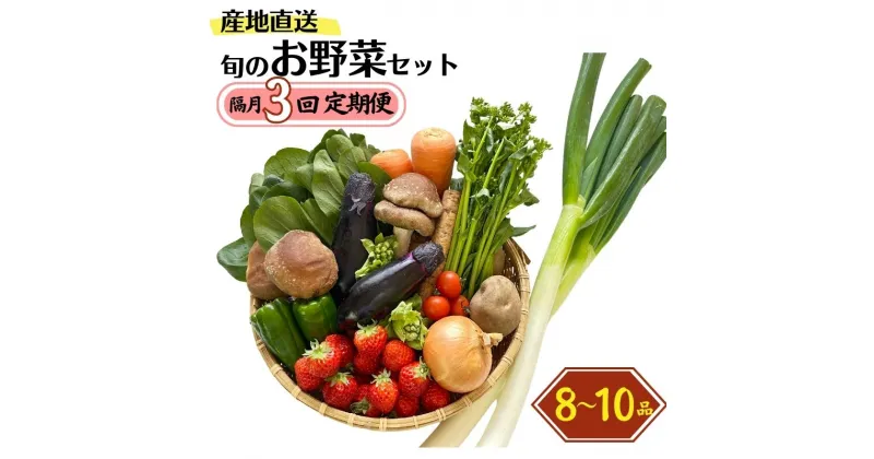 【ふるさと納税】定期便【隔月3回お届け】旬の野菜セットを直売所からお届け 8～10品詰め合わせ 大根・白菜・春菊・アスパラ菜・しいたけ・ほうれん草・ふきのとう・タラの芽・山菜・にんじん・イチゴ・トマト・きゅうり・ピーマン・ジャガイモ・玉ねぎ・長ネギ・里芋 JA