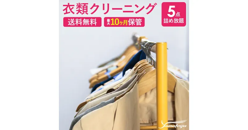 【ふるさと納税】衣類の宅配クリーニング 5点まで 詰め放題 保管付き ハンガー仕上げ 保管付き 送料無料 ダウン ワンピース シミ抜き無料 保管 安い 冬物 預かり 安心 保管あり 撥水加工 防虫 抗菌 除菌 引っ越し おすすめ ヤマトヤクリーニング 糸魚川