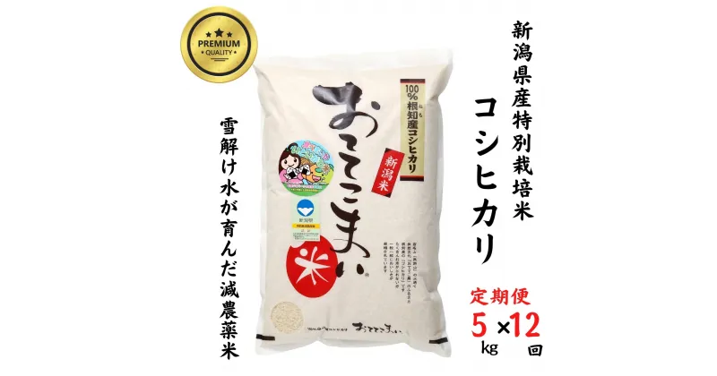 【ふるさと納税】米 新米 コシヒカリ【令和6年産 新米】【定期便】5kg(1袋)×12回毎月 計60kg 新潟県産 特別栽培米 「おててこまい」100%根知産 専門家お墨付き 令和6年産 産地直送 糸魚川 新潟県産コシヒカリ5kg 小田島建設 美味しい 農家自慢 お米 おにぎり お弁当