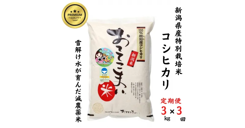 【ふるさと納税】米 新米 コシヒカリ【令和6年産 新米】【定期便】3kg(1袋)×3回毎月 計9kg 新潟県産 特別栽培米 「おててこまい」100%根知産 専門家お墨付き 令和6年産 産地直送 糸魚川 新潟県産コシヒカリ3kg 小田島建設 美味しい 農家自慢 お米 おにぎり お弁当