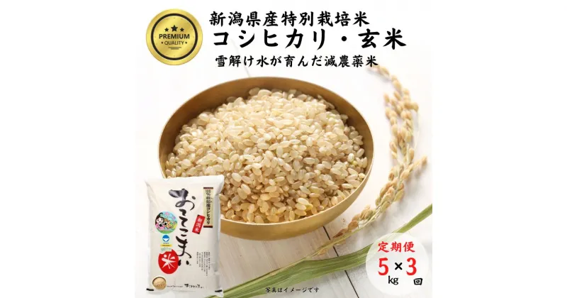 【ふるさと納税】米 コシヒカリ【令和6年産 新米】【玄米】5kg(1袋)×3回毎月 計15kg 特別栽培米 「おててこまい」100%根知産 減農薬 専門家お墨付き 令和6年産 産地直送 糸魚川 新潟県産コシヒカリ5kg 小田島建設 美味しい 農家自慢 お米 おにぎり 玄米 米