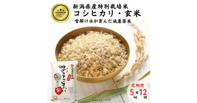 【ふるさと納税】米 コシヒカリ【令和6年産 新米】【玄米】5kg(1袋)×12回毎月 計60kg 特別栽培米 「おててこまい」100%根知産 減農薬 専門家お墨付き 令和6年産 産地直送 糸魚川 新潟県産コシヒカリ5kg 小田島建設 美味しい 農家自慢 お米 おにぎり 玄米 米