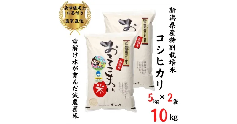 【ふるさと納税】米 新米 コシヒカリ【令和6年産 新米】5kg×2袋 10kg 新潟県産 特別栽培米「おててこまい」100%根知産 減農薬 専門家お墨付き 令和6年産 産地直送 糸魚川 小田島建設 美味しい 農家自慢 お米 白米 おにぎり お弁当