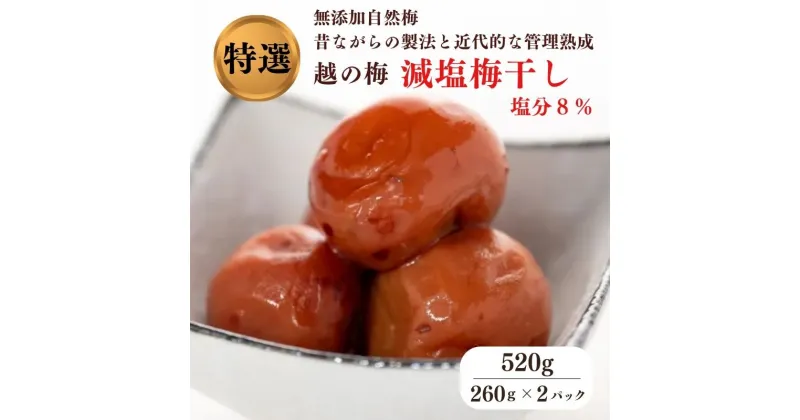 【ふるさと納税】特級 無添加 減塩 梅干し 越の梅 520g(260g×2パック）新潟県糸魚川 白梅 梅ちゃんfarm笠井 うめぼし 塩分8% カメを使った熟成 すっぱい梅干し 梅本来の味わい