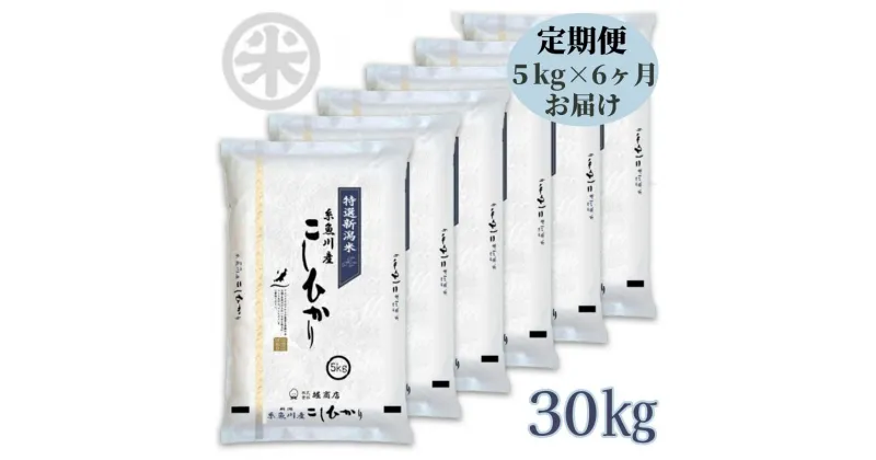 【ふるさと納税】米 新米【令和6年産 新米】【6か月定期便】新潟産コシヒカリ 5kg×6回 毎月お届け 計30kg 名水と翡翠の郷糸魚川 ギフト 贈答 内祝 御祝 御中元 御歳暮 gift niigata koshihikari 人気 おすすめ 新潟米 精米 おにぎり お弁当 米5kg 2024年 堀敬商事