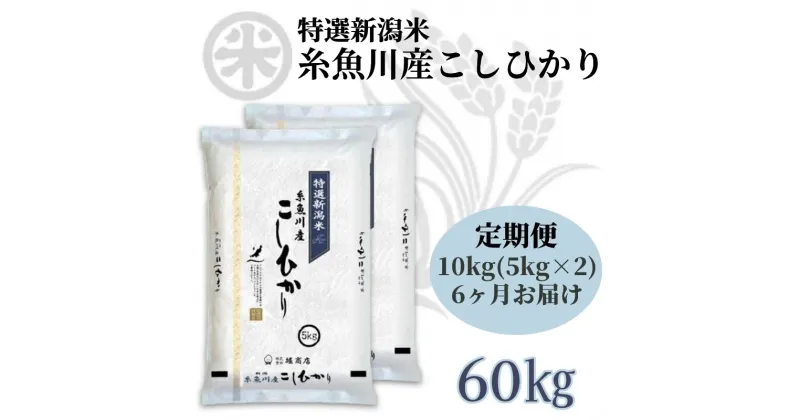 【ふるさと納税】米 新米 定期便【令和6年産 新米】【6か月定期便】新潟県産コシヒカリ10kg(5kg×2袋)×6回 毎月お届け 計60kg 名水と翡翠の郷糸魚川 ギフト おもたせ 贈答 内祝 御祝 御中元 お歳暮 koshihikari 人気 おすすめ 精米 おにぎり お弁当 米10kg 2024年 堀敬商事