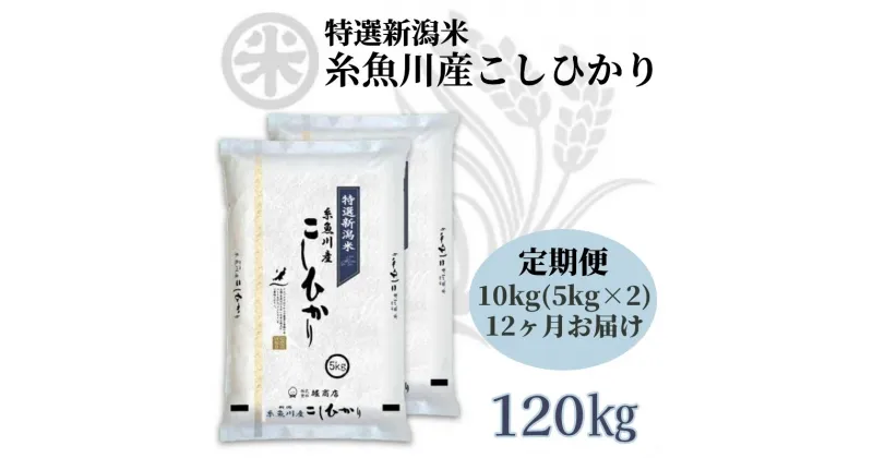 【ふるさと納税】米 新米 定期便【令和6年産 新米】【12か月定期便】新潟県産コシヒカリ10kg(5kg×2袋)×12回 毎月お届け 計120kg 名水と翡翠の郷糸魚川 ギフト おもたせ 贈答 内祝 御祝 御中元 お歳暮 koshihikari 人気 おすすめ 精米 おにぎり 弁当 米5kg 2024年 堀敬商事