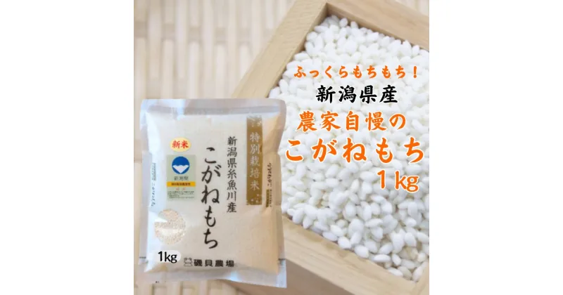 【ふるさと納税】新米 もち米 【令和6年産 新米】新潟県産『こがねもち』1kg 令和6年産 ふっくらモチモチ！ もち米ならではの芳醇な香り 磯貝農場 ふるさと納税 米 ブランド米 餅 赤飯 おこわ 糸魚川 お正月 美味しい 新潟米 もち米1kg 2024年