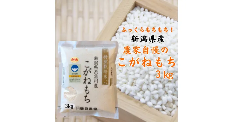 【ふるさと納税】新米 もち米【令和6年産 新米】新潟県産『こがねもち』3kg 令和6年産 ふっくらモチモチ！ もち米ならではの芳醇な香り 磯貝農場 ふるさと納税 米 ブランド米 餅 赤飯 おこわ 糸魚川 お正月 美味しい 新潟米 もち米3kg 2024年