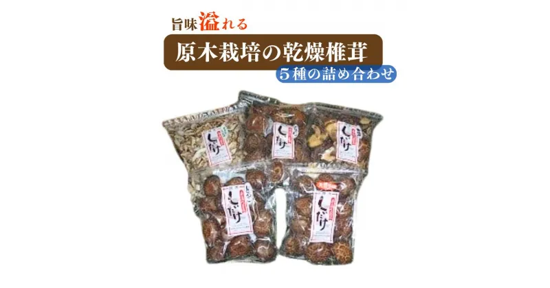 【ふるさと納税】原木栽培の乾燥椎茸5種の詰め合わせ（どんこ 小粒どんこ こうしん スライス 得用）【新潟県 糸魚川 しいたけ シイタケ 香信】