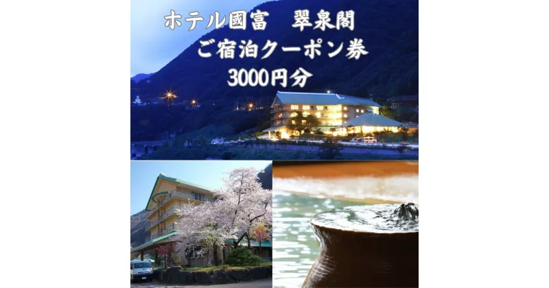 【ふるさと納税】ホテル國富 翠泉閣 宿泊クーポン券 3,000円分 新潟県 糸魚川市 温泉 源泉かけ流し 國富 秘湯 長野県境 姫川温泉 旅行 観光 宿泊補助券 糸魚川 【能登半島地震復興支援】