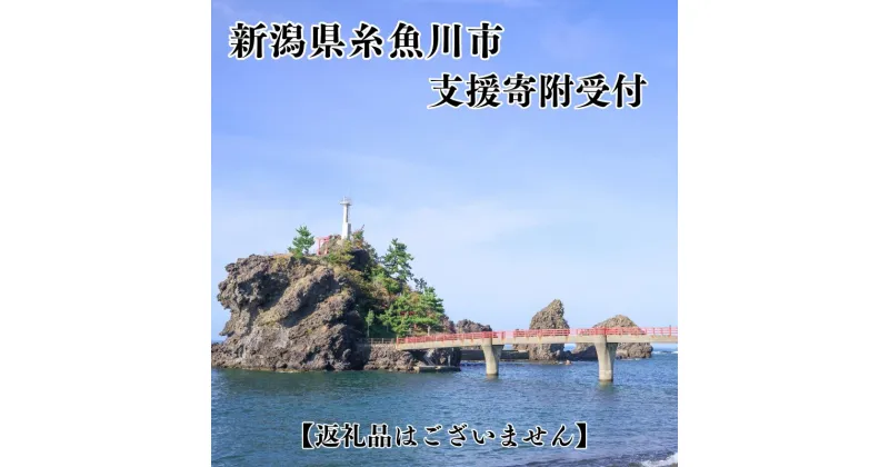 【ふるさと納税】寄附のみの応援受付 （返礼品はありません） 新潟県 糸魚川市 ふるさと応援 支援 返礼品なし 寄付