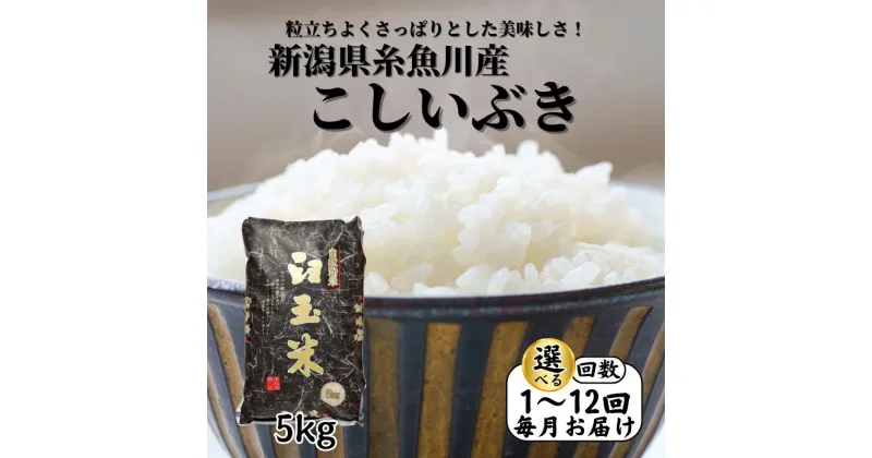 【ふるさと納税】米 新米【令和6年産新米】選べる定期便 新潟県 糸魚川産 こしいぶき5kg 定期便 (1回～12回) プロが認めたうまい米 臼玉米 2024年産 コシヒカリの甘みを兼ね備えた早生品種 おすすめ 人気 お手頃価格 お弁当 おにぎり 選べる 回数 毎月お届け 木島米穀店