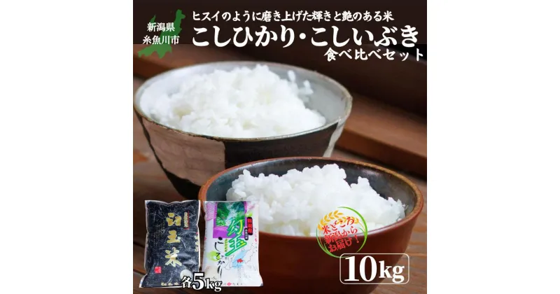 【ふるさと納税】 米 食べ比べ 選べる回数 定期便【令和6年産 新米】新潟産 コシヒカリ・こしいぶき 各5kg 計10kg 食べ比べセット 新潟産コシヒカリ5kg 新潟産こしいぶき5kg 新潟米 糸魚川 おすすめ 2024年 美味い米10kg 米5kg 木島米穀店