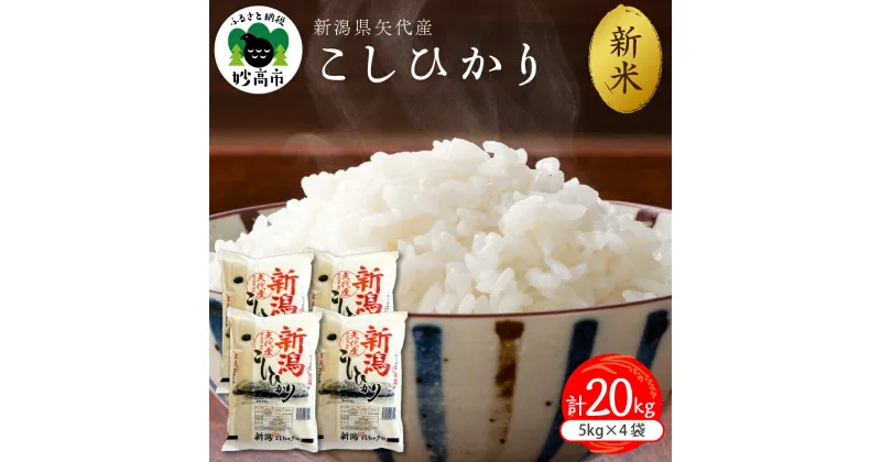 【ふるさと納税】【令和6年産 新米】【配送時期が選べる】米 コシヒカリ 20kg (5kg×4袋) 2024年産 新潟県 上越 矢代産 白米 コメ お米 こめ ご飯 ごはん ライス おにぎり 弁当 小分け 便利 大人気 グルメ 20キロ お取り寄せ 送料無料 妙高市