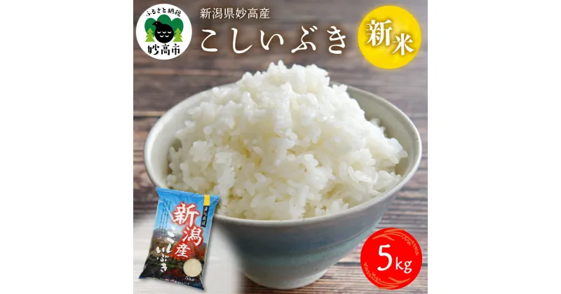 【ふるさと納税】令和6年産 新米 こしいぶき 5kg【配送時期が選べる】新潟県 妙高産 白米 精米 送料無料 お取り寄せ 妙高市